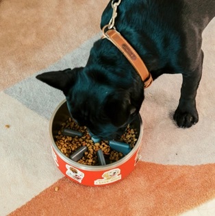 pet-bowls-1.jpg